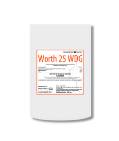 Worth 25 WDG