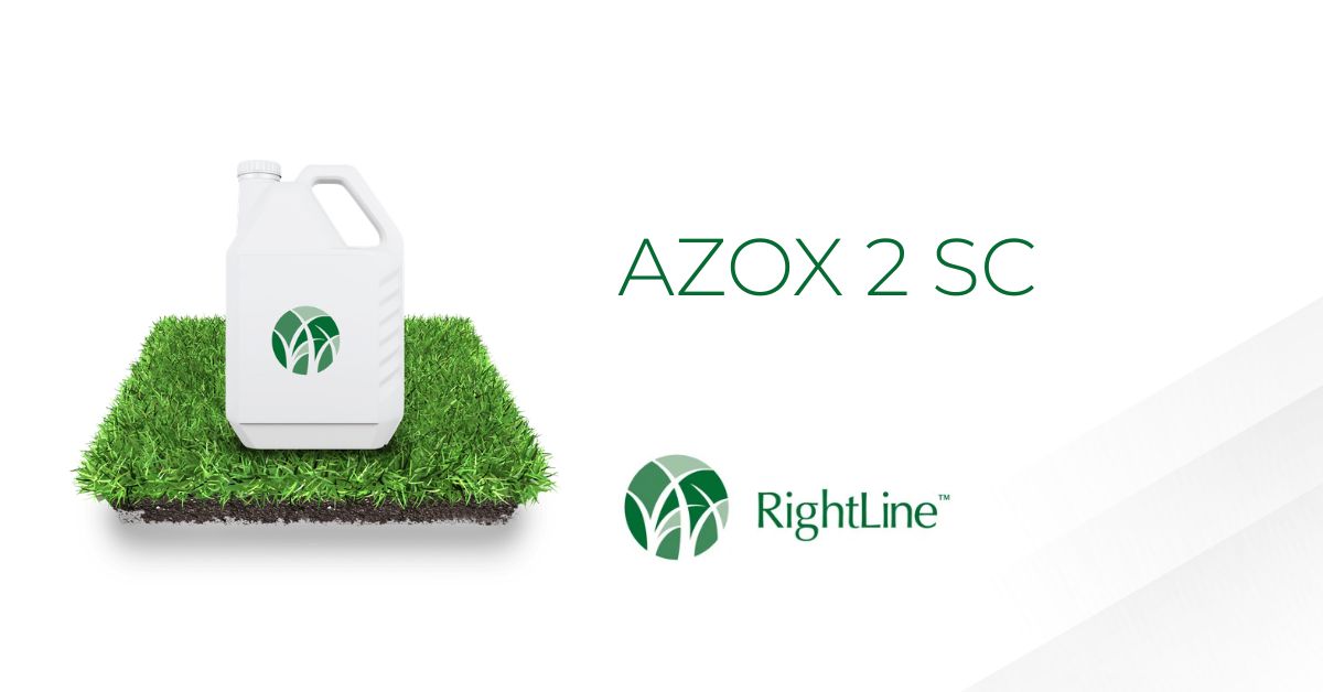 AZOX 2 SC Fungicide for Turf and Ornamental Diseases | RightLine LLC